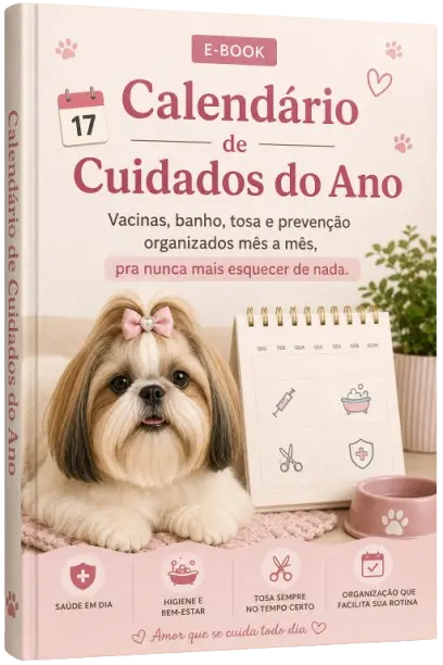 Bônus Calendário